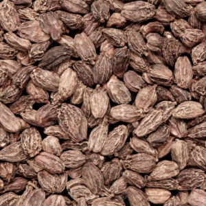 Black Cardamom (Amomum subulatum)