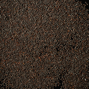Black Mustard Seeds