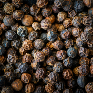 Black Pepper (Piper nigrum)