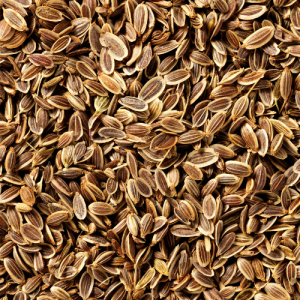 Dill Seed