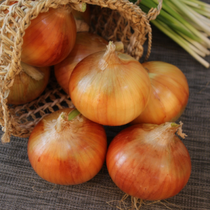Onion