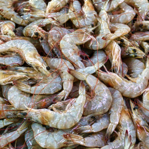 Prawns
