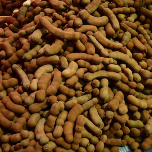 Raw Whole Tamarind Pods (with Shell)
