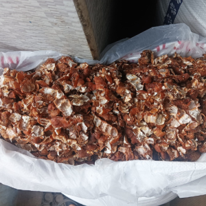 Seedless Tamarind Slabs/Blocks