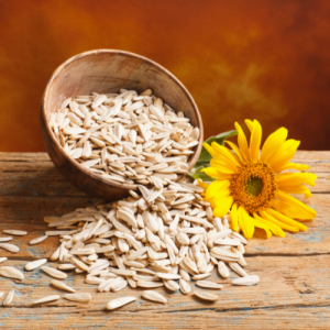 Sunflower Oil Seeds