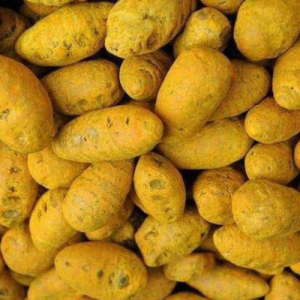 Turmeric Bulbs