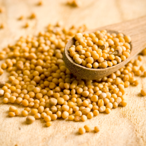 Yellow mustard seeds
